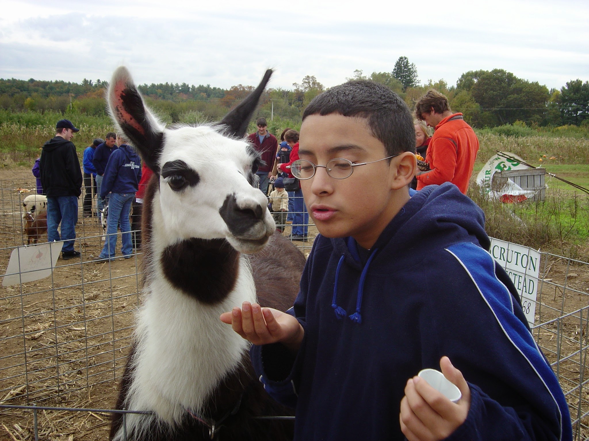 2003-01-20_Apple_Picking.jpg